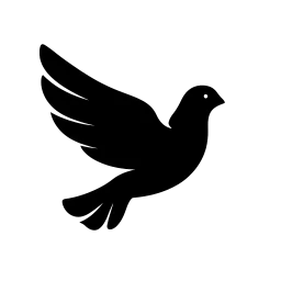 My Blog