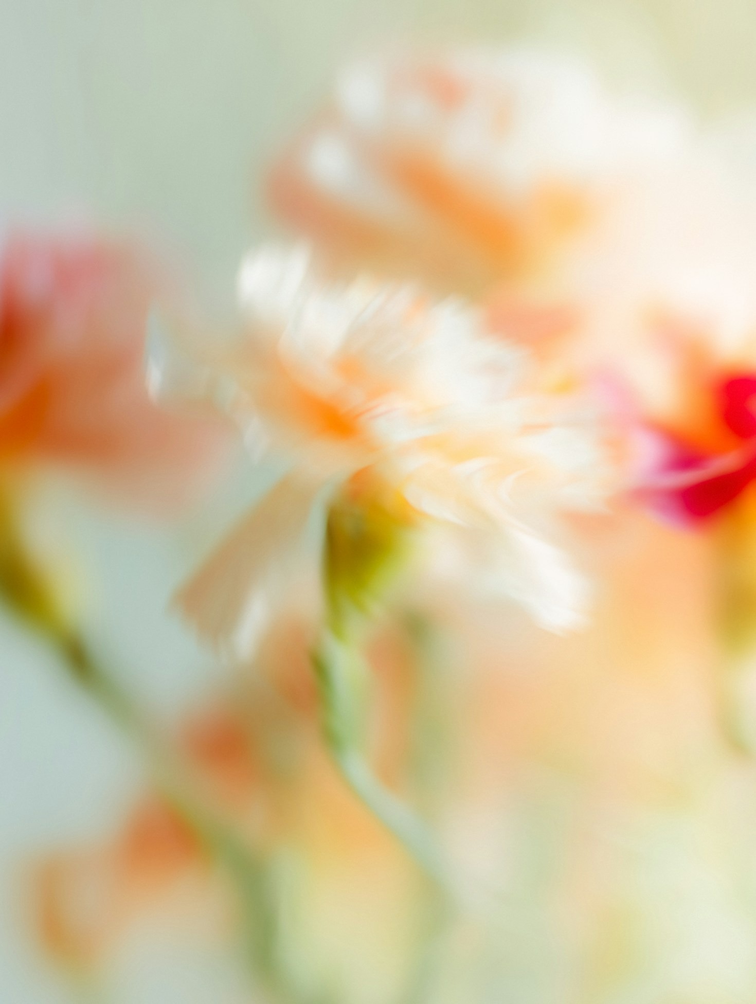 Finding Stillness in a Busy World