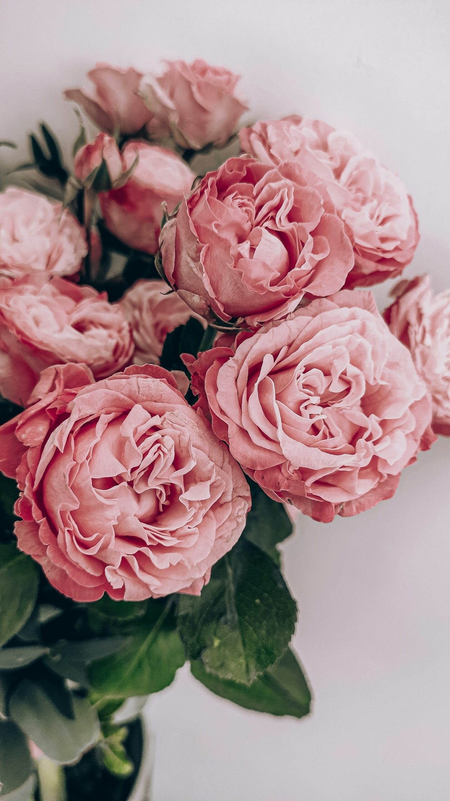 Why Vintage Aesthetics Inspire My Writing