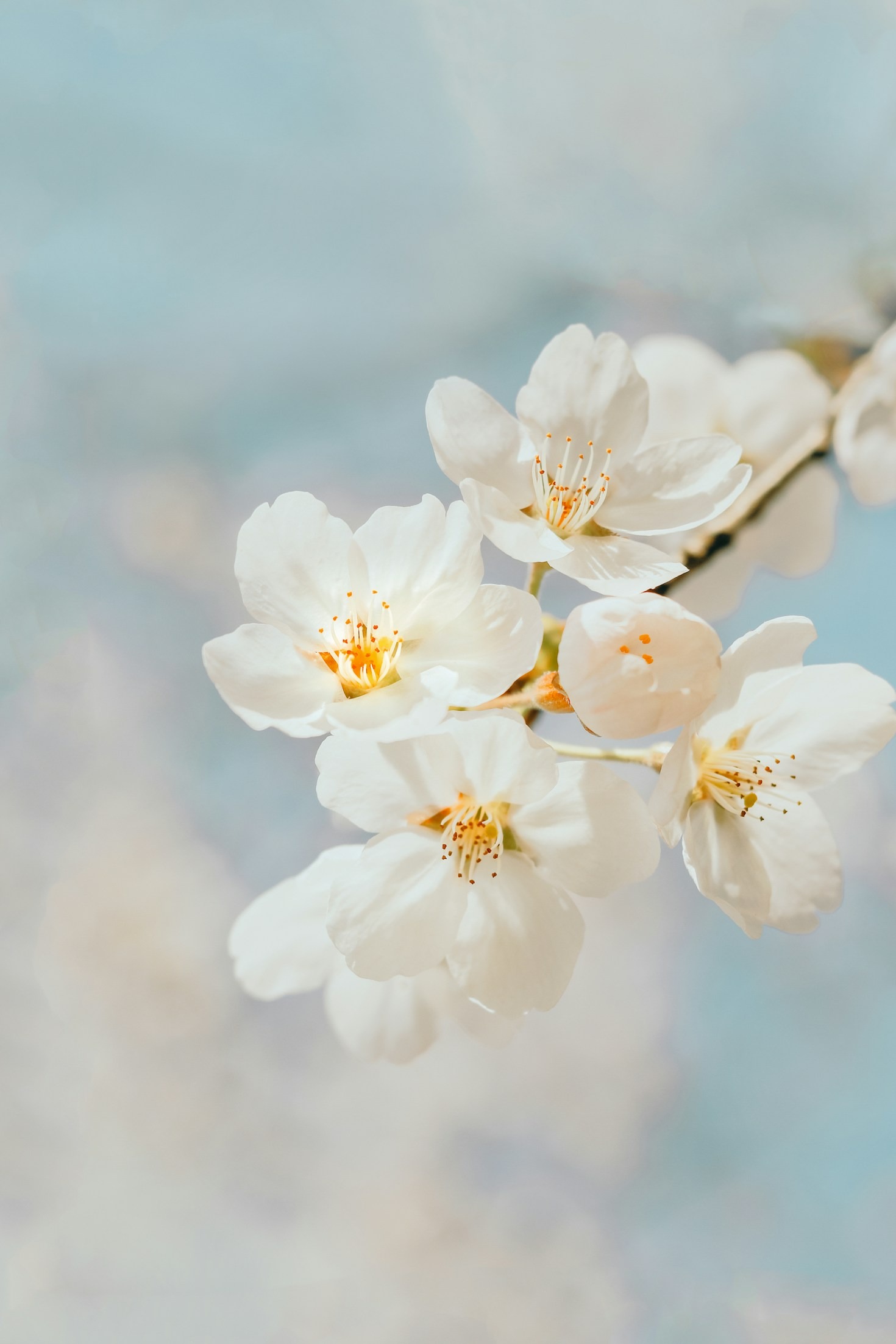 Small Moments of Divine Connection Daily